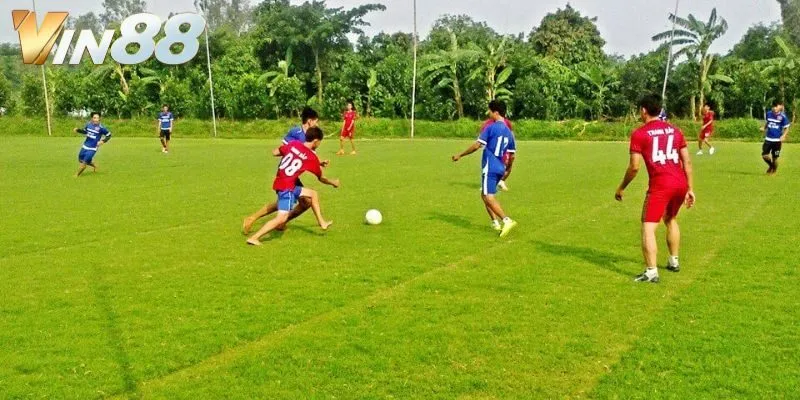 Bóng cỏ và bóng đá chuyên nghiệp – Những khác biệt rõ rệt